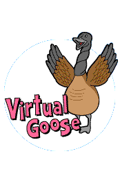 Virtual Goose