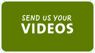 Send us your videos