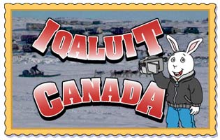 Buster in Iqaluit