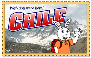 Buster in Chile