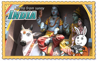 Buster in India