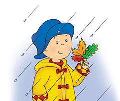 Caillou with leaves