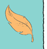 feather