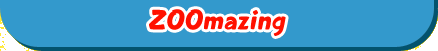 ZOOmazing