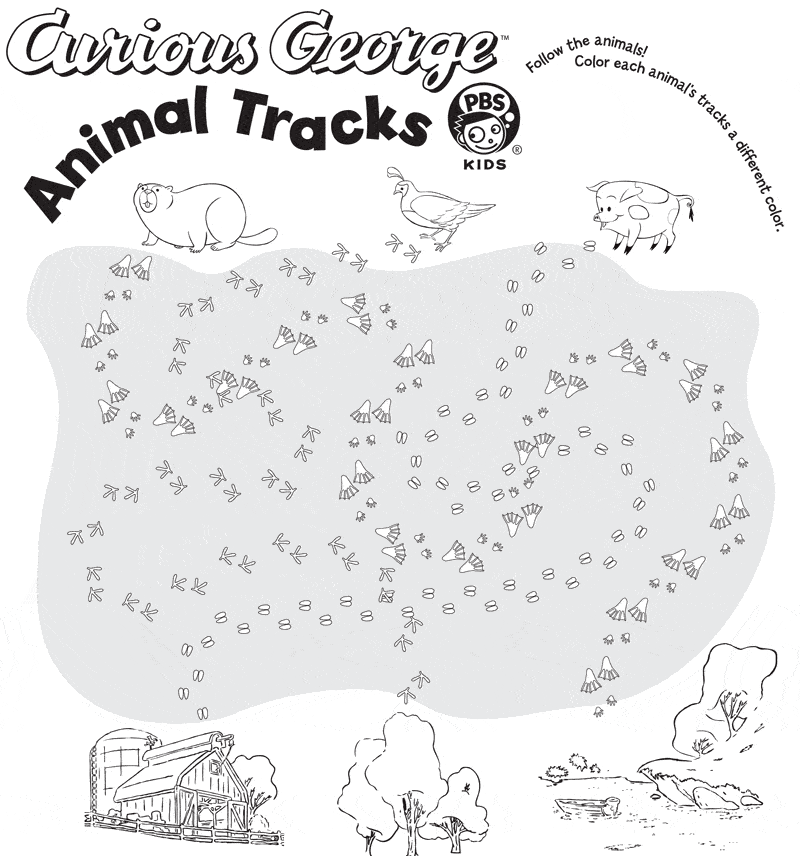 Animal Tracks