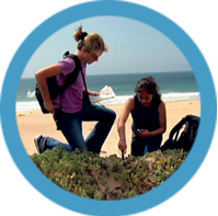 victoria and alejandra measure the moisture level of a sand dune