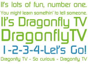 It's lots of fun, number one. You might learn somethin' to tell someone. It's DragonflyTV. DragonflyTV. 1 2 3 4 Let's go! DragonflyTV. So curious! DragonflyTV