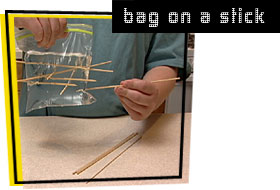 photo of bag on a stick