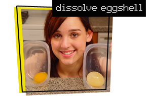 eggs in containers