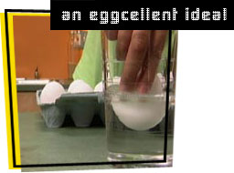 egg-cellent idea!