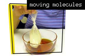 Moving Molecules