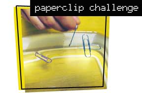 Paperclip Challenge