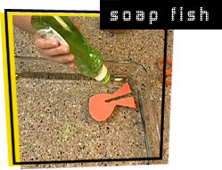 photo of soap fish cutouts