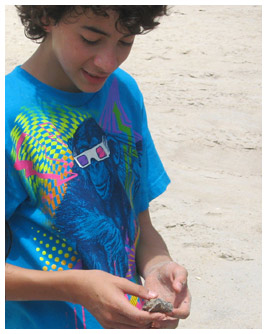 Marco holds a baby turtle on a beach.