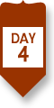 Day 4