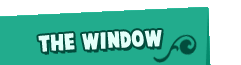 The Window