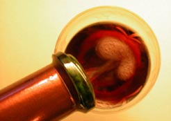 Liquor poured into a glass