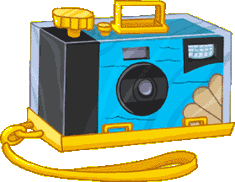 Disposable camera