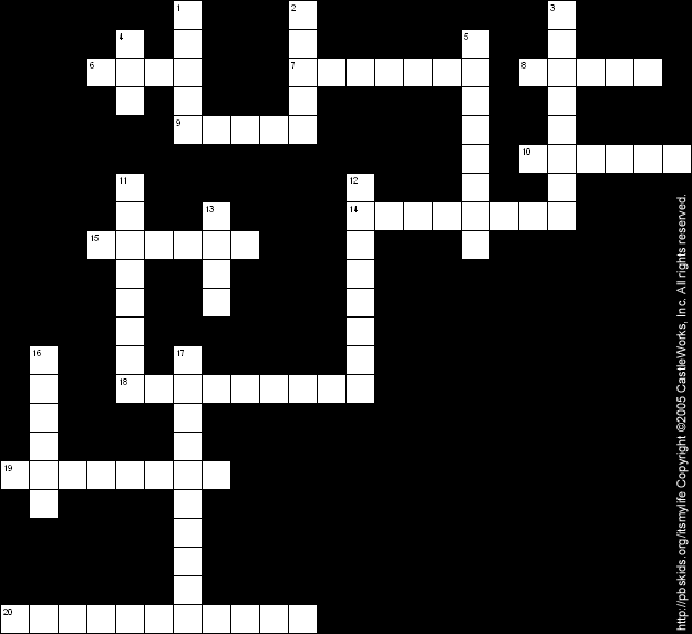 Crossword Puzzle