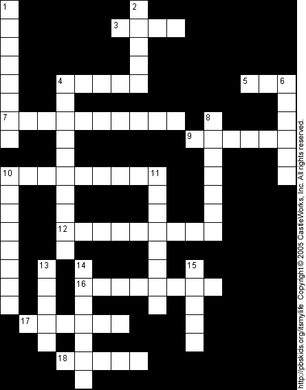 Crossword Puzzle