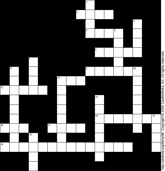 Crossword Puzzle
