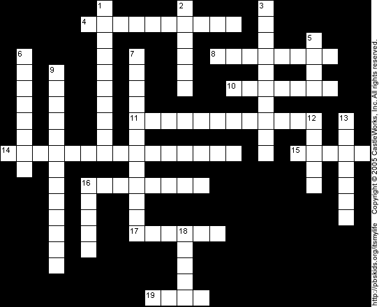 Crossword Puzzle