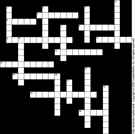 Crossword Puzzle