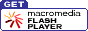 Download Flash Player