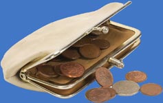 Purse full of change