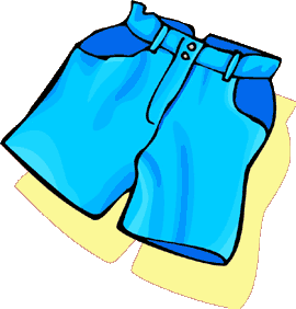 Pair of shorts