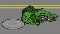 Alligator and sewer