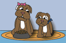 Puppies