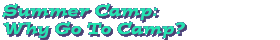 Summer Camp: Why Go To Camp?