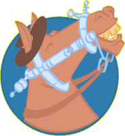 Rodeo horse