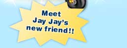 Meet Jay Jay's new friend!