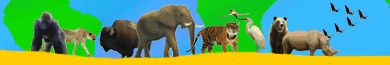 Kratts' Creatures