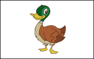 duck