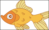 goldfish