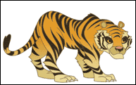 tiger