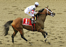 Photo of Big Brown