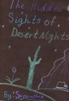 The Hidden Sights of Desert Nights