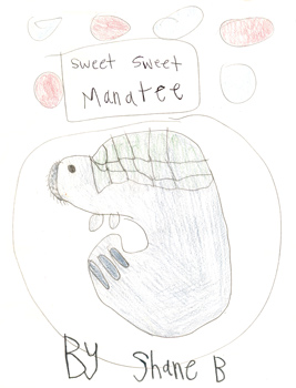 Sweet Sweet Manatee