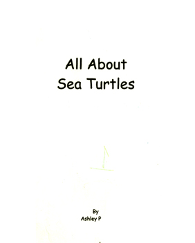 All About Sea Turtles