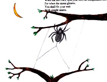 The Spider's Web