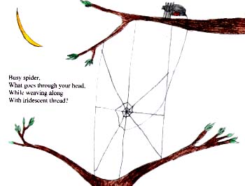The Spider's Web