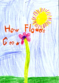 How Flowers Grow