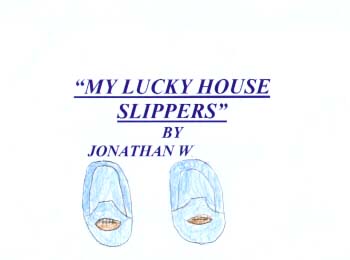 My Lucky House Slippers