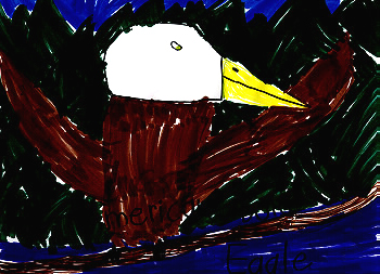 The American Bold Eagel