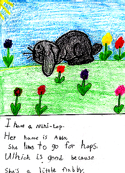 My Mini-Lop Hops