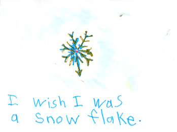 I Wish I Was a Snowflake